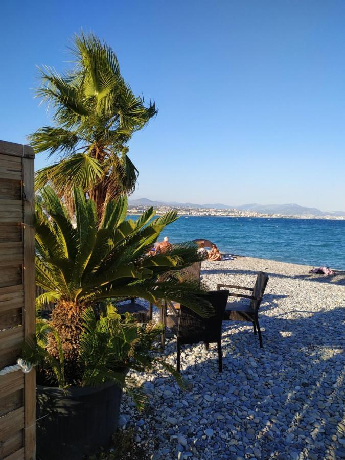 Studio Rez De Jardin Marina Baie Des Anges Villeneuve-Loubet Esterno foto