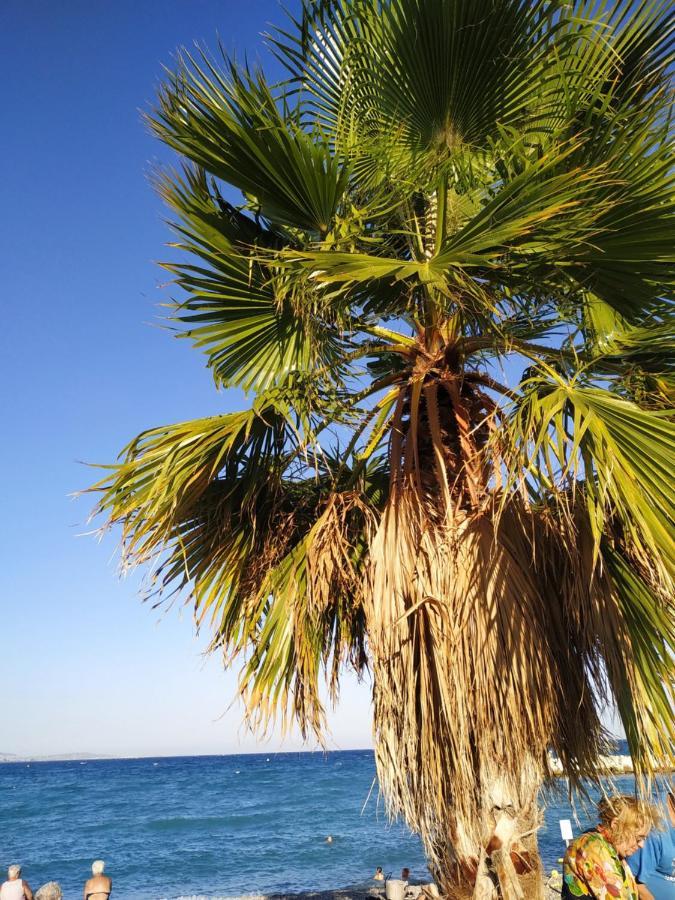 Studio Rez De Jardin Marina Baie Des Anges Villeneuve-Loubet Esterno foto